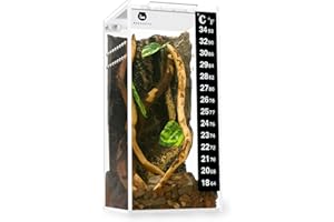 NEPTONION Acrylic Breeding Box 3"x3"x6" Transparent Mini Reptile Habitat Terrarium with Sliding Cover Magnetic Closure for Sm