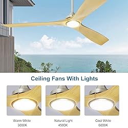 Depuley 60" Ceiling Fans with LED Lights and