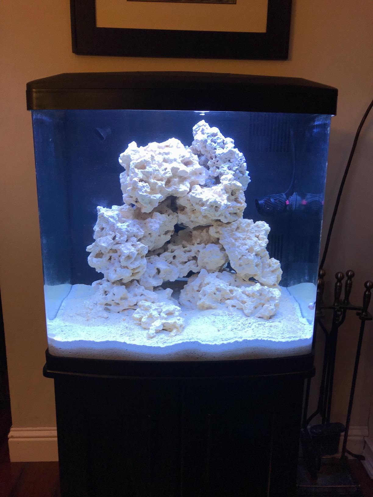 $23/mo - Finance BioCube Coralife Size 32 LED Aquarium Reef Package ...