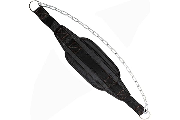 Faswin Dip Belt with 32 Inches Heavy Duty Steel Chain Double D-ring Weightlifting Back Support Strap Home Gym Equipment for W
