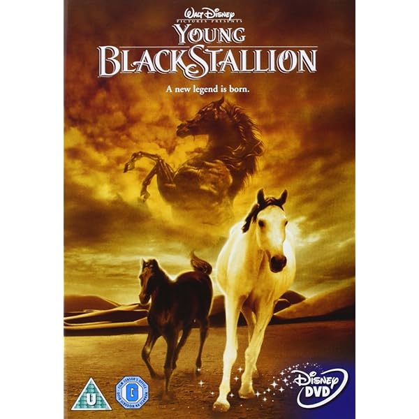 (未使用･未開封品)America&#39;s Heart &amp; Soul [DVD] America's Heart & Soul - 786936245370 - Disney DVD Database