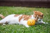 Petface Orange Plush Cat Toy with Catnip - Soft Interactive Play Ball view 5
