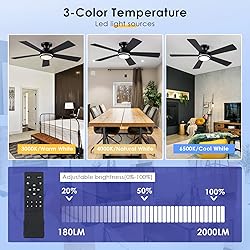 BYKISTOK 46In RGB Ceiling Fans with Lights - Black
