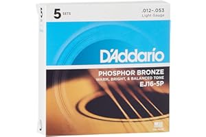 D'Addario Guitar Strings - Phosphor Bronze Acoustic Guitar Strings - EJ16-5P - Rich, Full Tonal Spectrum - For 6 String Guitars - 12-53 Light, 5-Pack