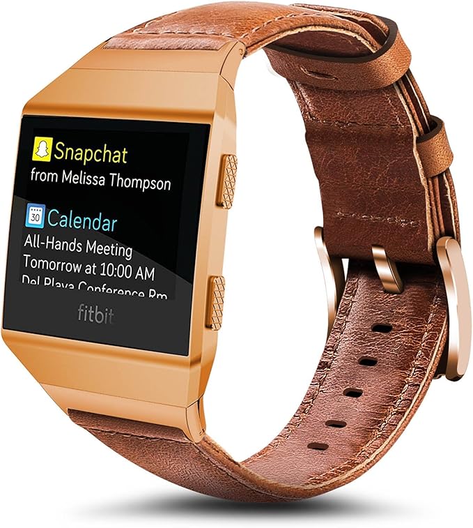 fitbit ionic burnt orange bands