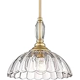 Golden Lighting Audra 1-Light Pendant in Brushed Champagne Bronze and Clear Glass