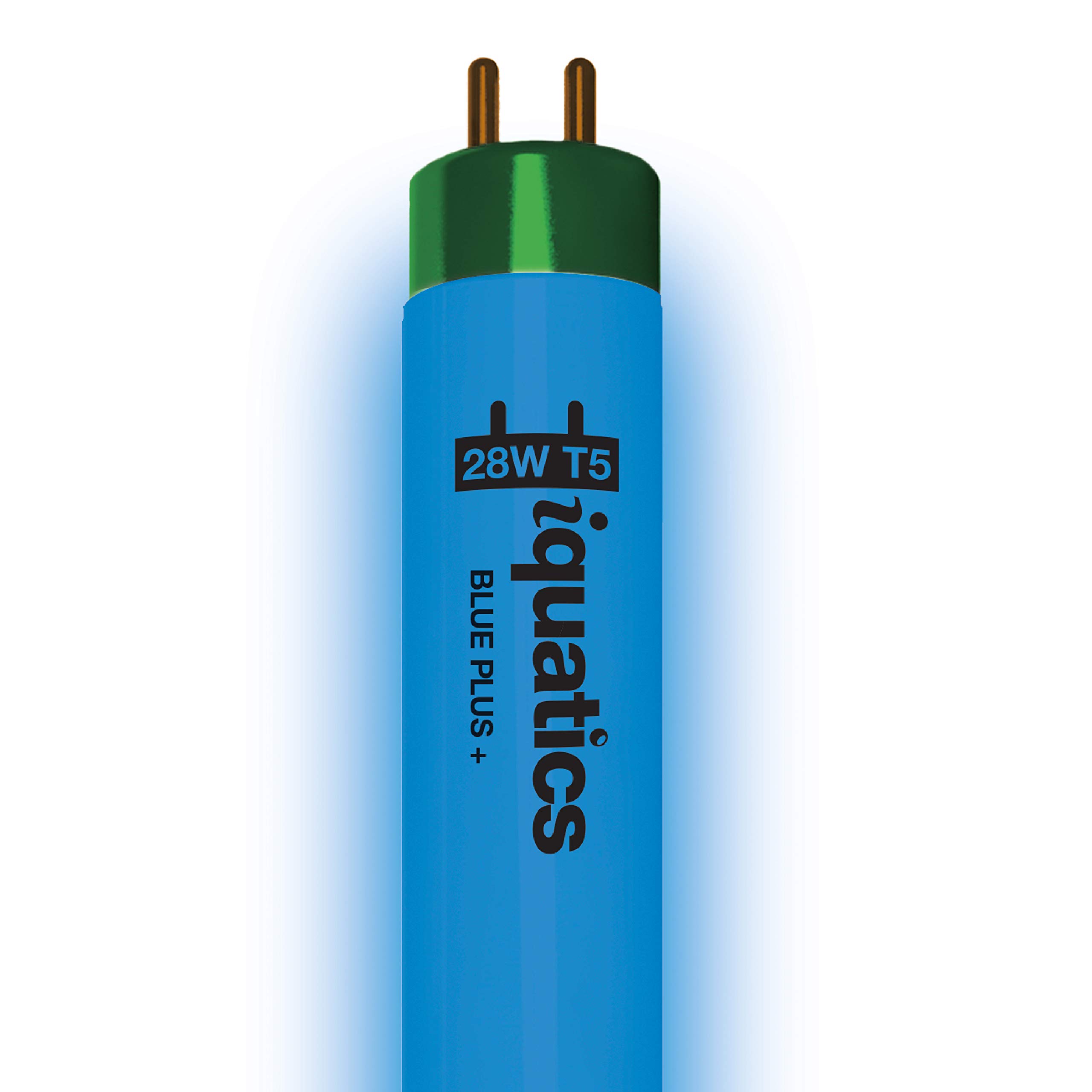 iQuatics Juwel Compatible Aquarium Fluorescent Light Bulb T5 (Single), Blue Plus, 28w 590mm 24"
