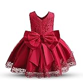 NNJXD Baby Girl Birthday Party Dress Tutu Toddler Girl Pageant Ball Gown