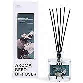 BITSOTA Reed Diffuser Set, Eucalyptus & Citrus 3.52 oz (100ml) Scented Diffuser with Sticks Home Fragrance Reed Diffuser for Bathroom Shelf Decor, Ideal Gift for Woman