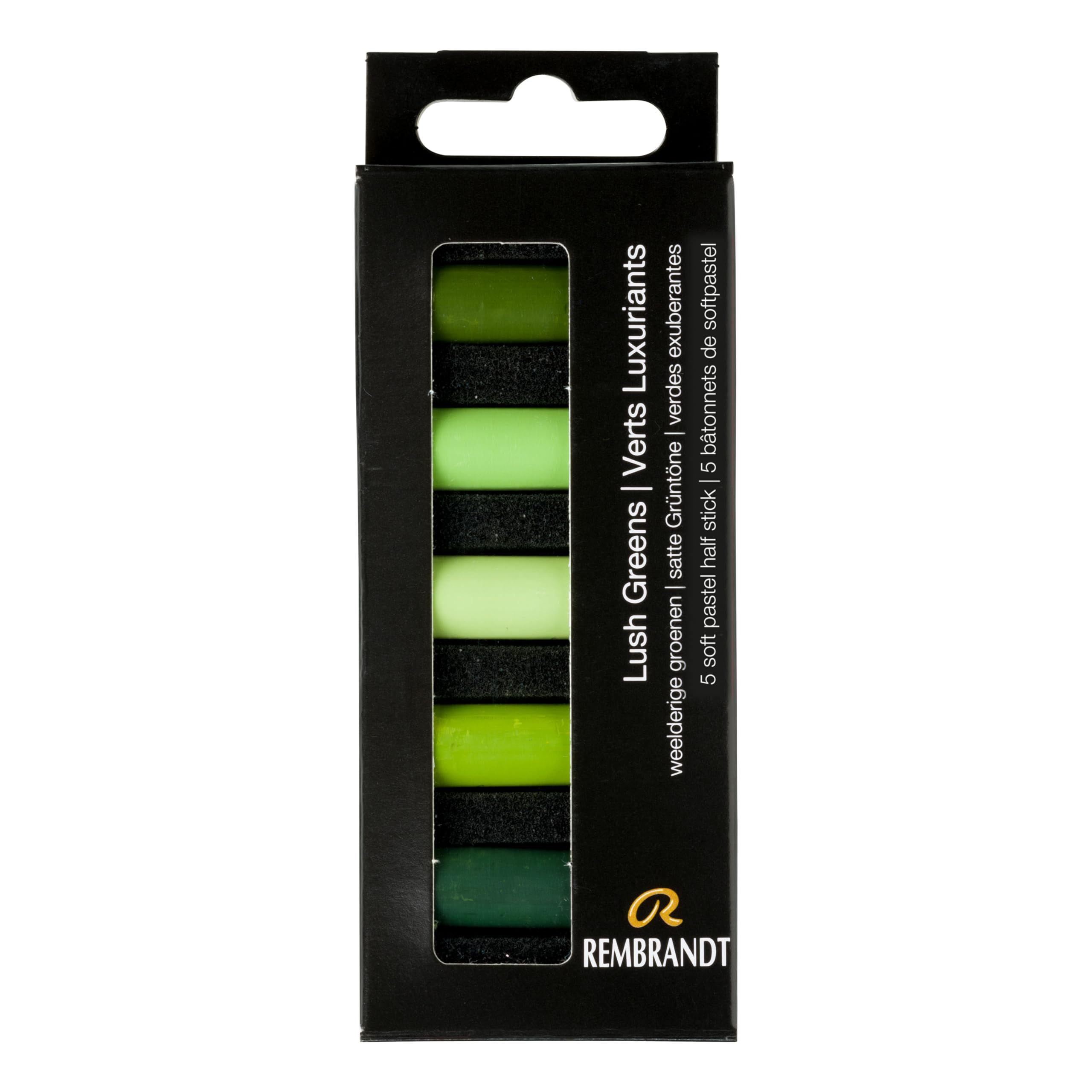 Rembrandt Professional Soft Pastel Set Lush Greens | 5 Half Pastels