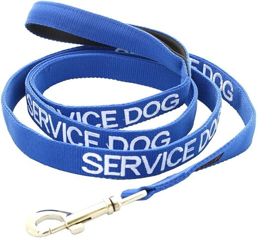 dexil dog collar