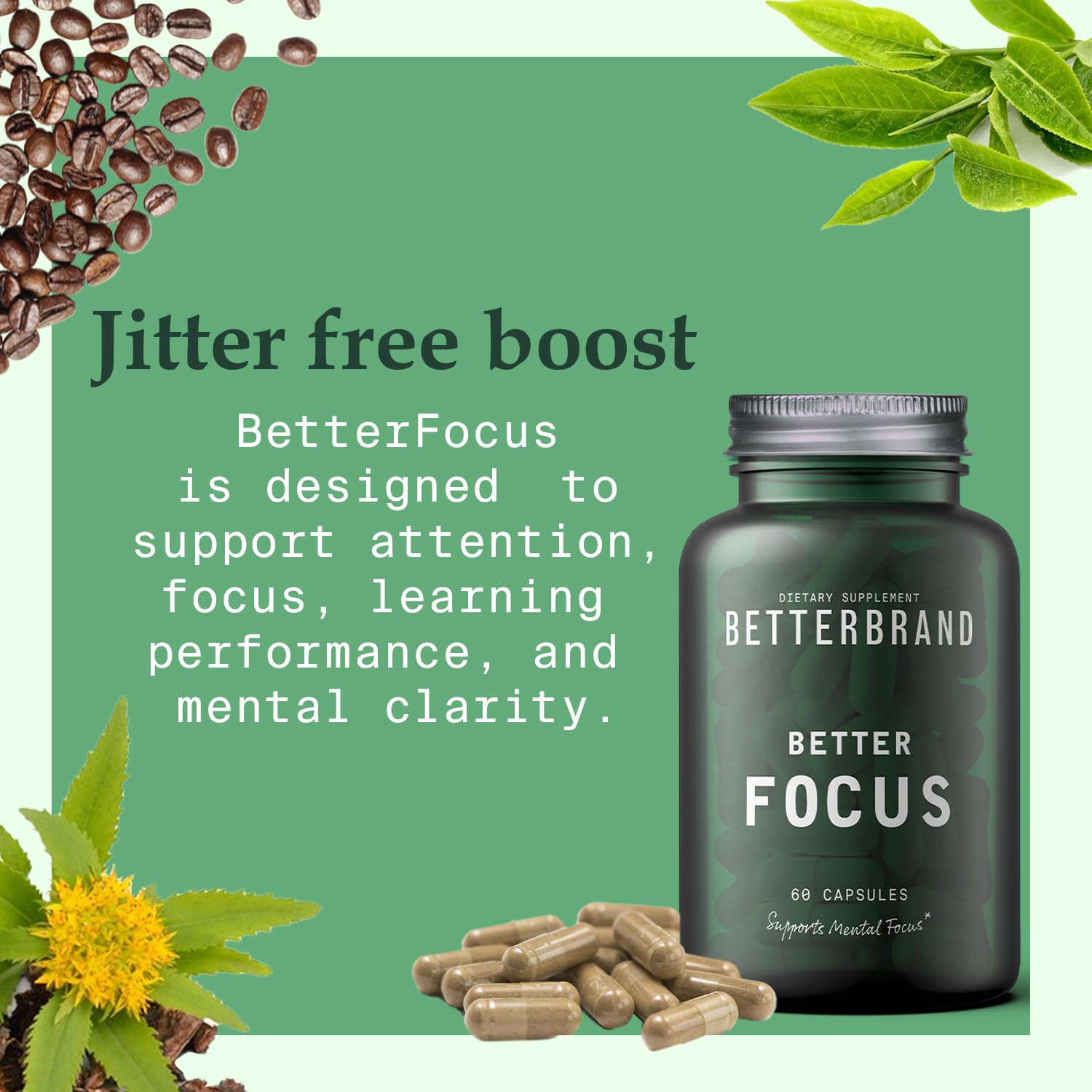 Betterbrand BetterFocus Brain Booster Brain Supplements for Memory and Focus for Mental Clarity. Caffeine, Dynamine, L-Theanine, Rhodiola & TeaCrine (30 Servings)