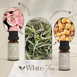 SALUBRITO Zen Fragrance Oil Set, Tea Essential Oil