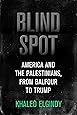 Blind Spot: America and the Palestinians, from Balfour to Trump