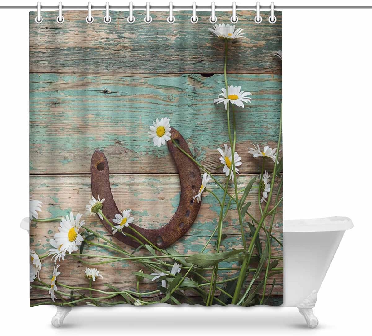 Amazon Com Interestprint Rusty Horseshoe And Daisies On Rustic