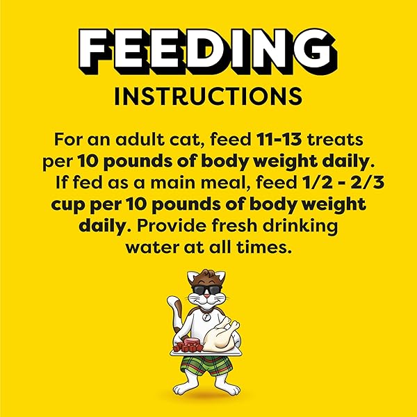 TEMPTATIONS MIXUPS BACKYARD COOKOUT FLAVOR CRUNCHY AND SOFT CAT TREATS, 30 OZ. TUB