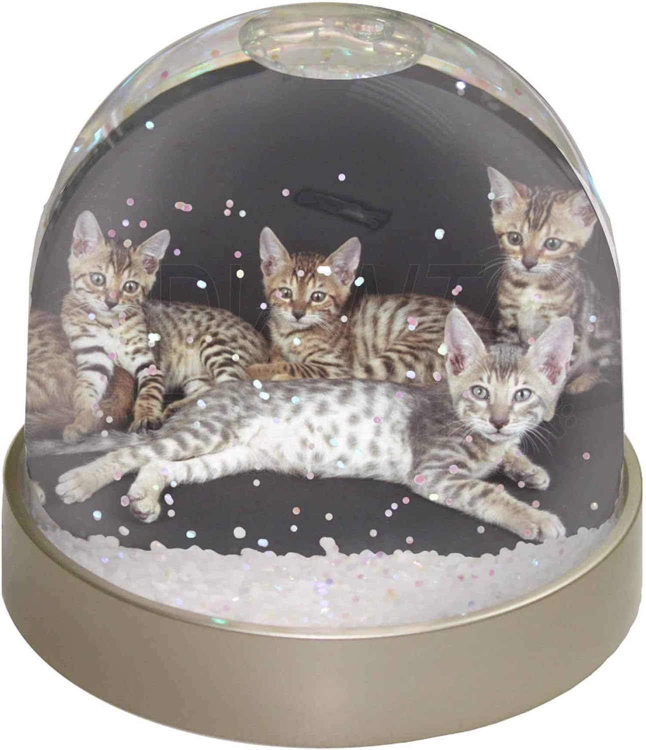 Advanta Group Bengal Kittens Posing for Camera Snow Dome Globe