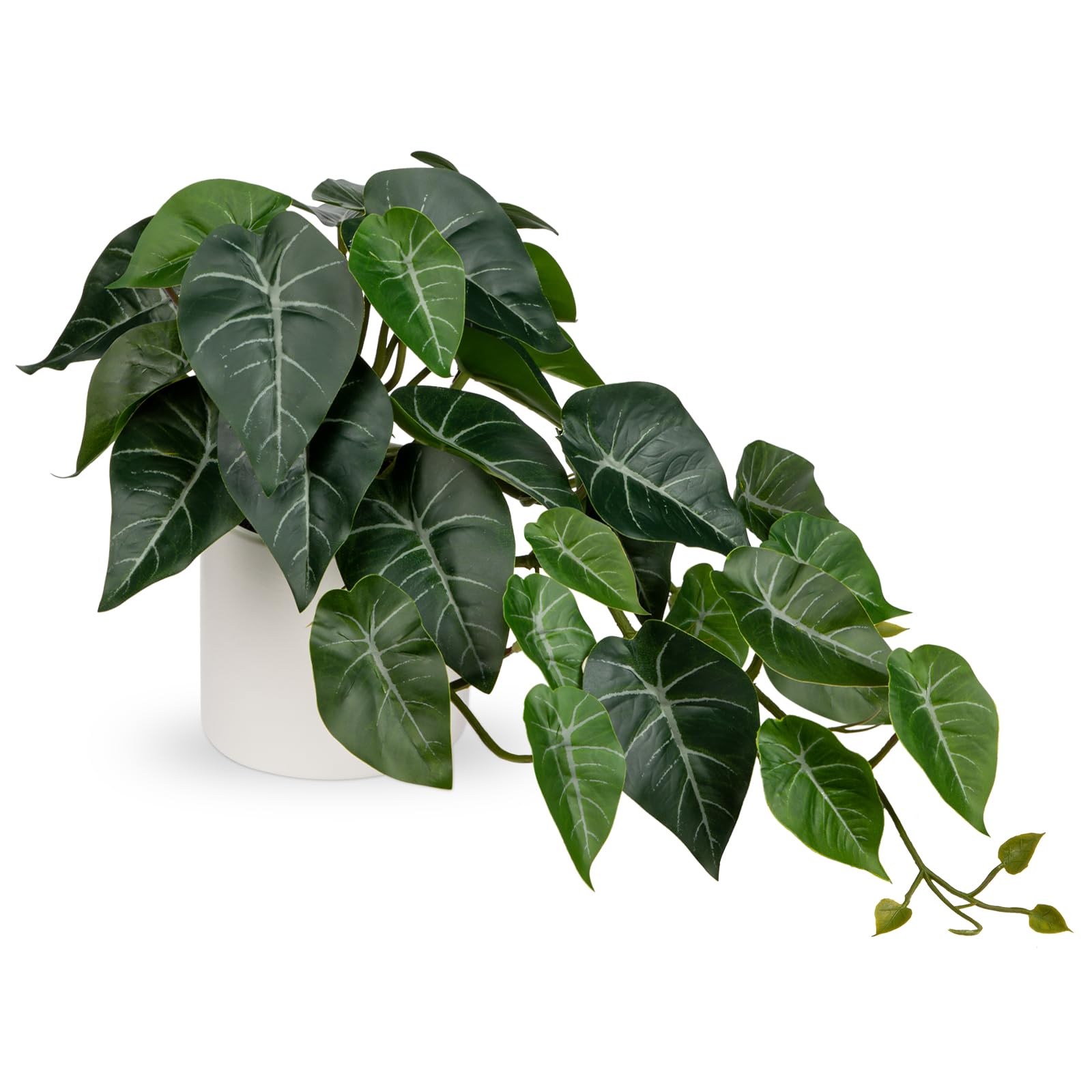 Hollyone Artificial Plants in Ceramic Pots, Fake Taro Leaves Decorative Faux Potted Plants, Realistic House Plant Indoor for Home Décor, Bathroom, Living Room, Kitchen, Shelf, Office Decorations