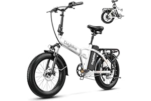 bluebiko 1000W Folding Electric Bike, 48V 20AH Large Removable Battery E Bike, 30+MPH, 80 Miles Max Range, 20" Fat Tire Electric Bike for Adults, Adult Electric Bicycles for Commute Beach Snow
