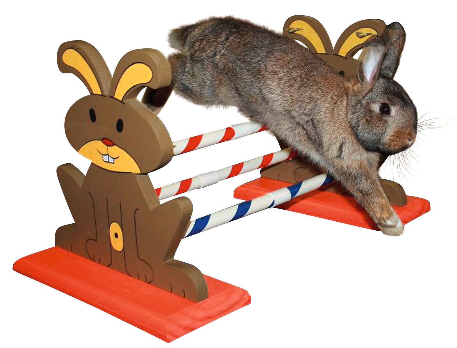 Kerbl Agility Rodent Obstacles, 62 x 33 x 34 cm