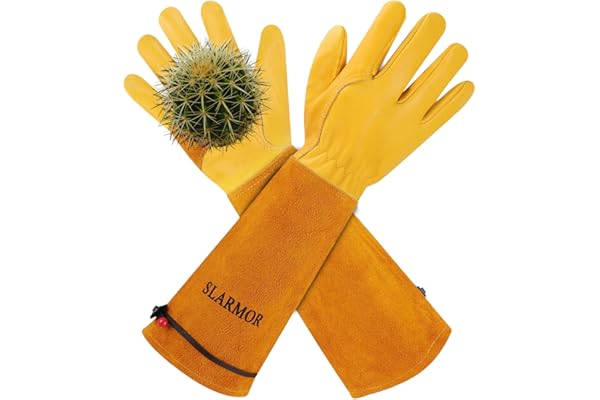 Long gauntlet gloves for blackberry and bramble clearing