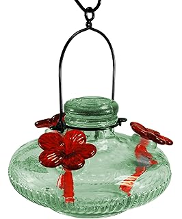 Amazon Com Bestnest Parasol Pot De Creme Staked Hummingbird