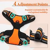rabbitgoo Dog Harness Medium No Pull with 2 Leash Clips Reflective Orange M view 5