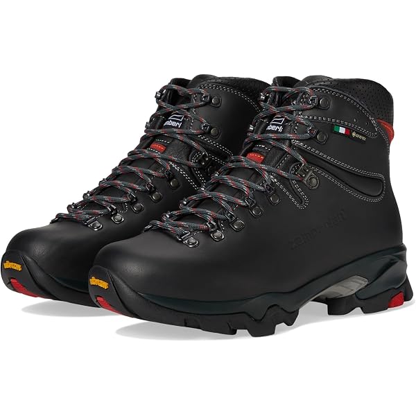 Amazon.com | Zamberlan,Men's,Vioz Lux GTX RR,Brick,8,Medium