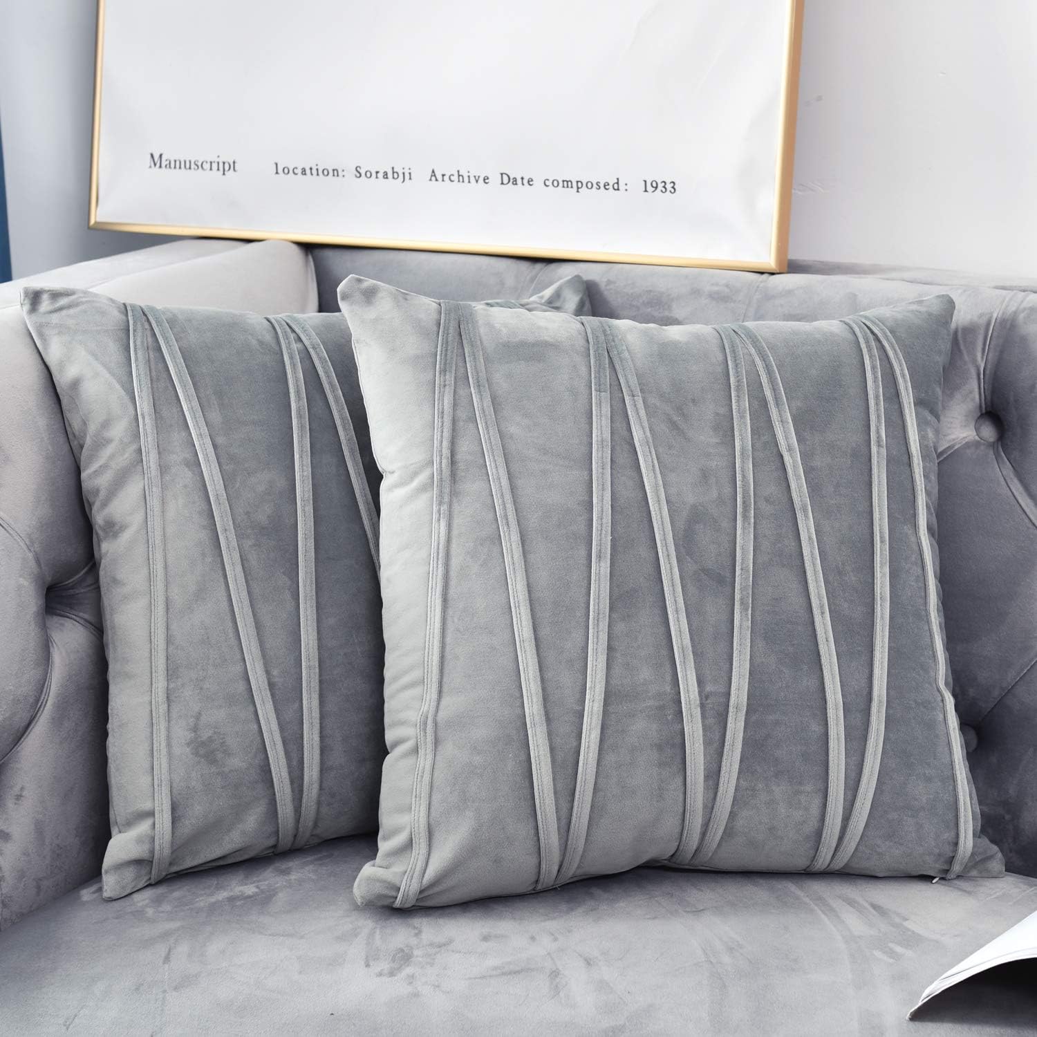 NianEr Decorative Plush Velvet Throw Pillow Covers Sofa Accent Couch Pillows Set of 2 for Bed Living Room Square Pillow Cases 20X20 Silver Grey Gray
