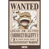 One Piece - Monkey D Luffy Wanted Poster Wall Poster, 34L" x 22.4W", Unframed Version