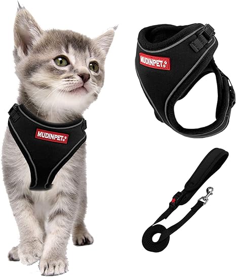 Mudinpet Harnais Et Laisse Pour Chat Avec Laisse Pour Chat 1 2 M Amazon Ca Animalerie