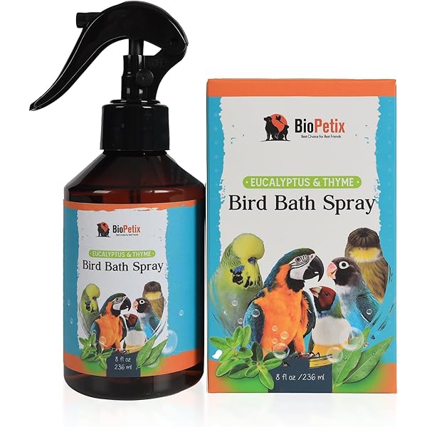 Libro Da Colorare Cacatua Pappagallo Nella Foresta Pluviale | Vettore - Foto 6