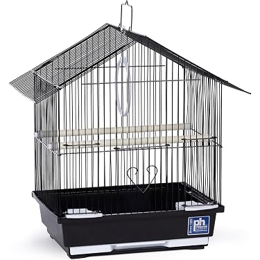 Amazon 暢銷商品: 最佳鳥籠