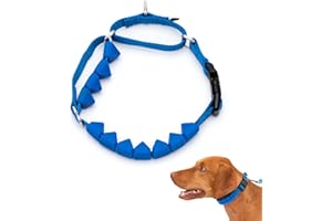 PetSafe Soft Point Training Collar - Helps Stop Pulling - Safer Than Prong or Choke Collars - Teaches Better Leash Manners - 