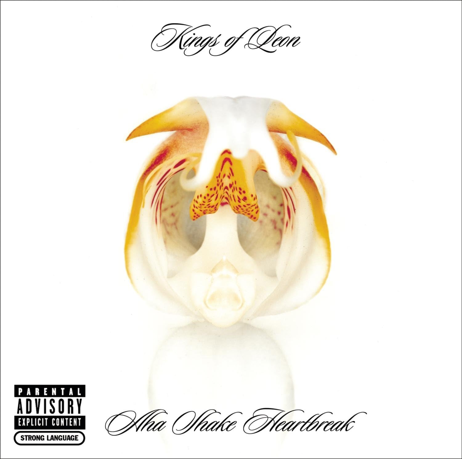 Aha Shake Heartbreak Kings Of Leon Amazon.ca Music