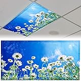 Patelai 4 x 2 Feet Fluorescent Light Cover for