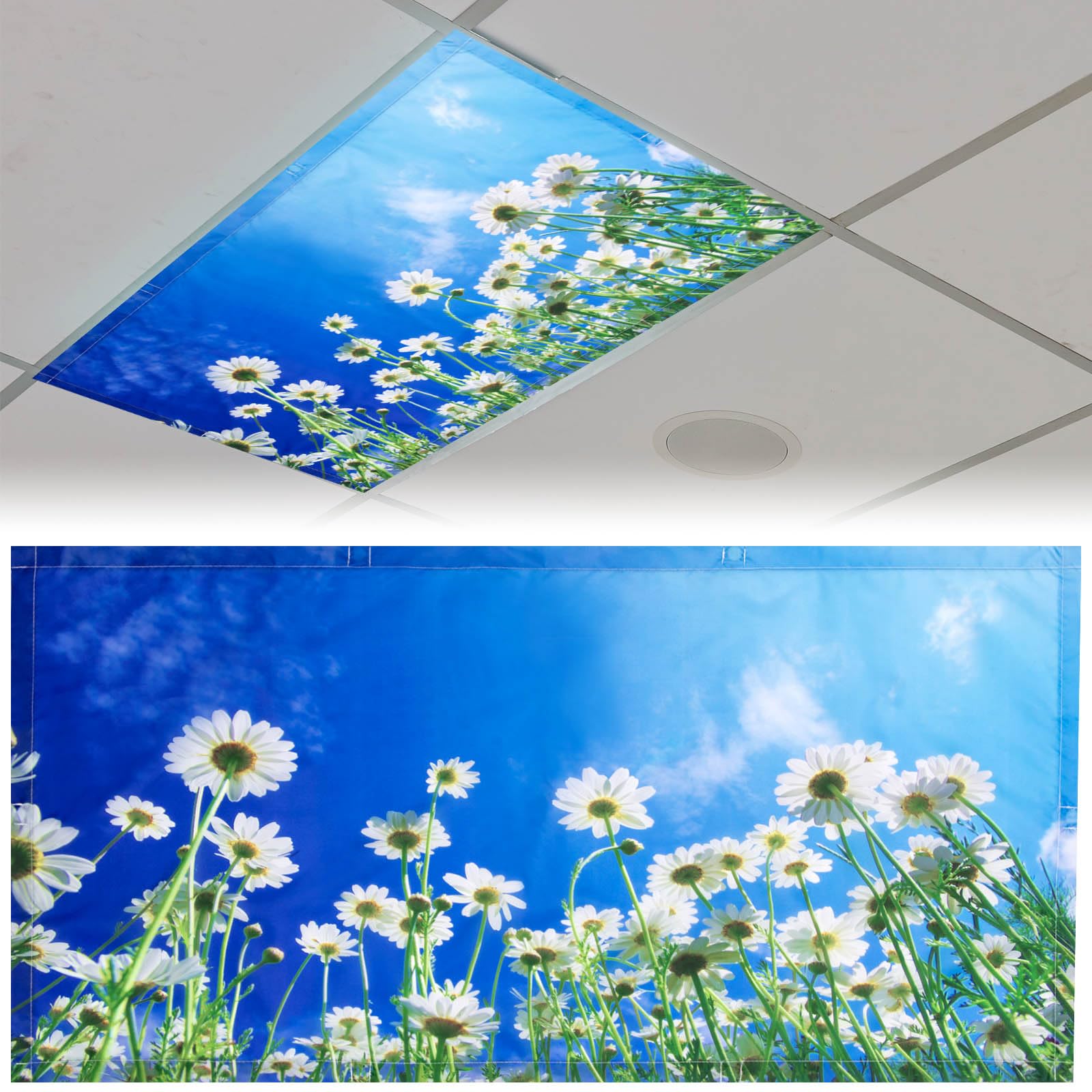 Patelai 4 x 2 Feet Fluorescent Light Cover for