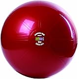 GoFit 2500lb. Commercial Graded Exercise/Stability Ball - 65cm
