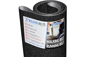 WalkingBeltsLLC - Golds Gym Trainer 430i Treadmill Walking Belt GGTL396150 1ply Sand Blast + Free 1oz Lube