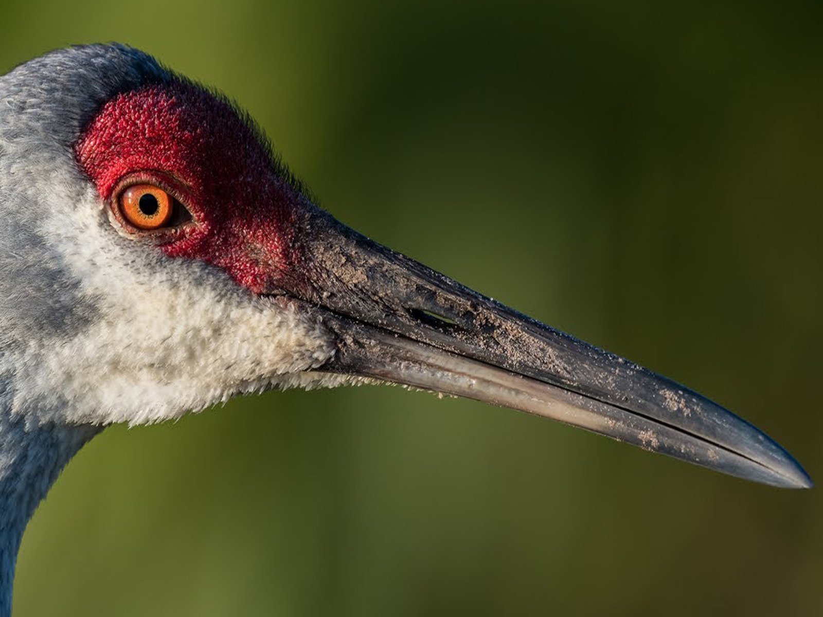 Watch Mark Smith Photography Prime Video