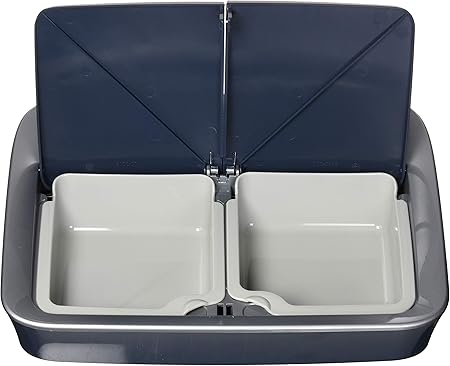 digital two meal feeder