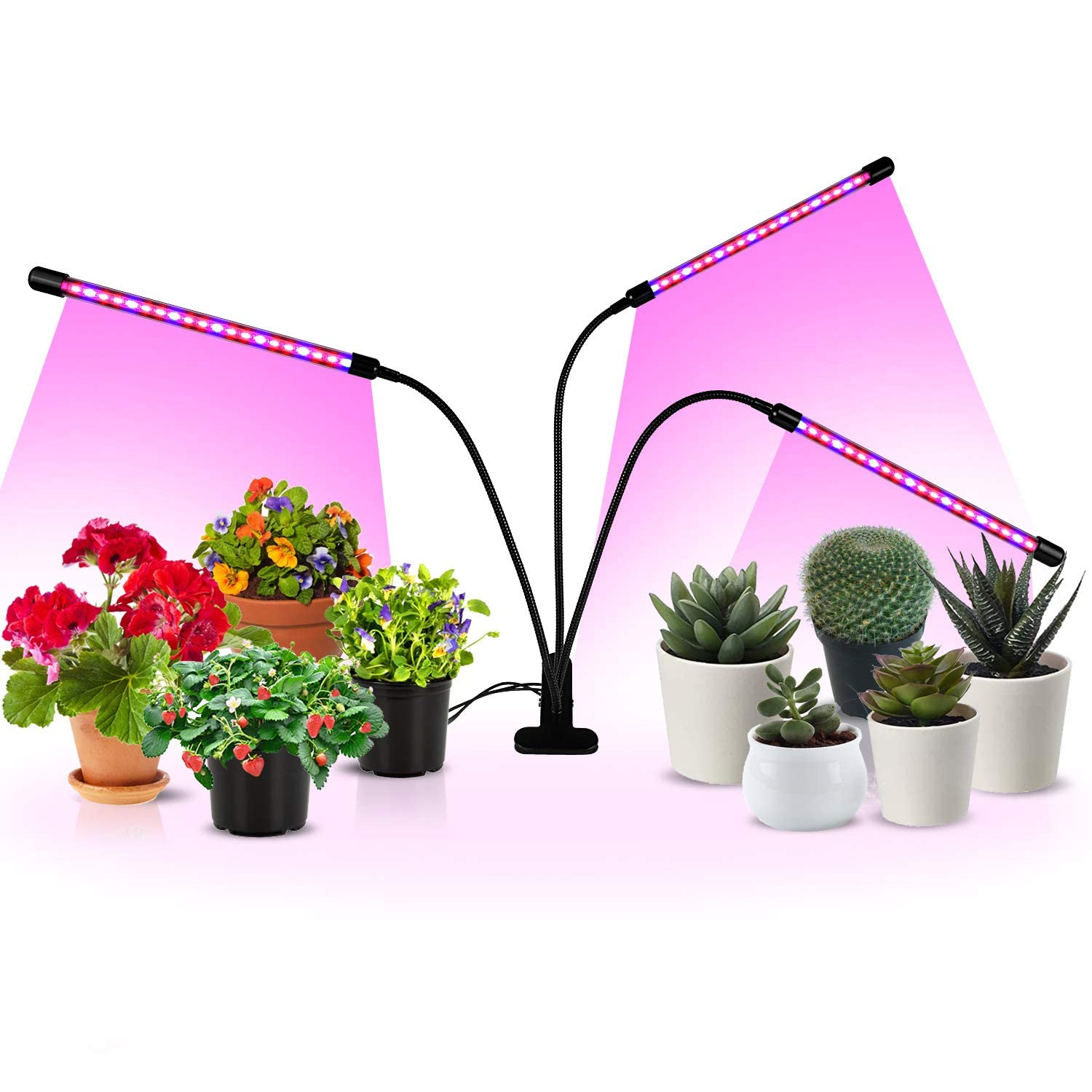 Mua iPower 60 LED Grow Light with Full Spectrum for Indoor Plants ...