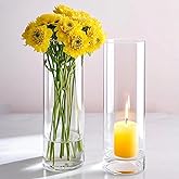 Sandraheer 12 Pack Clear Glass Cylinder Vases for Centerpieces - Floating Candle Vases Holder - 8" Hight Perfect for Weddings and Events