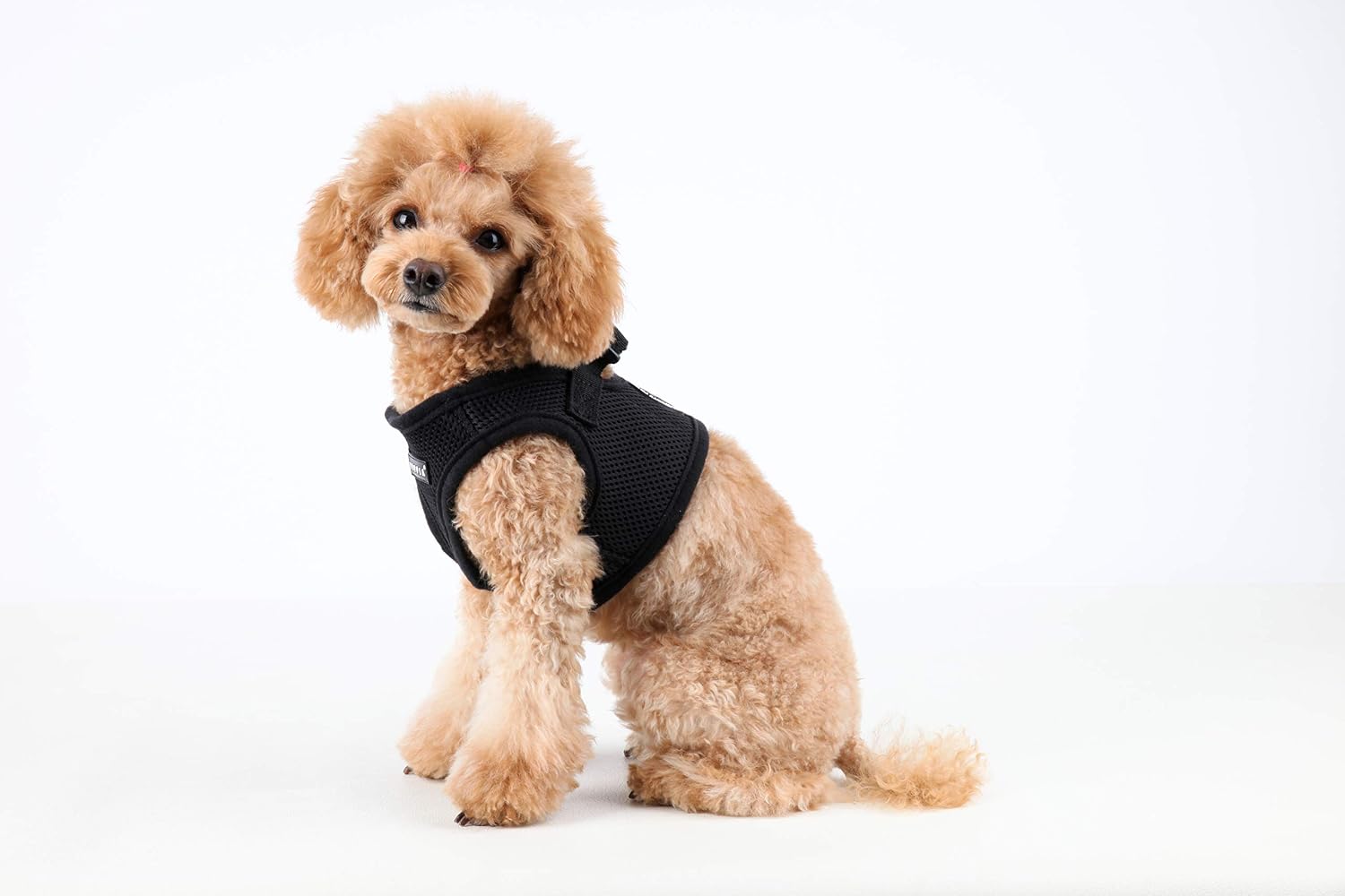 Puppia Soft Vest Harness, XS, Black - Image 5