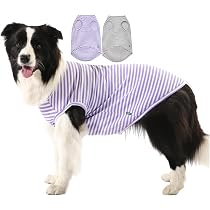 Amazon.com : Sychien Dog Cooling Shirt,Summer Combed Cotton ...