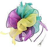 DRESHOW Fascinators Hat Tea Party Headwear Ribbons Feathers on a Headband and a Clip for Women
