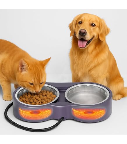 calories in nutro dog food Nutro Crunchy Treats with Real Mixed Berries Dog Treats  Concord Pet Foods  & Supplies| Delaware, Pennsylvania, New Jersey, Maryland