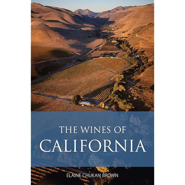 Wine Myths & Reality: Lewin, Benjamin: 9780983729266: Amazon.com