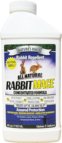 hstcstbl-table__image