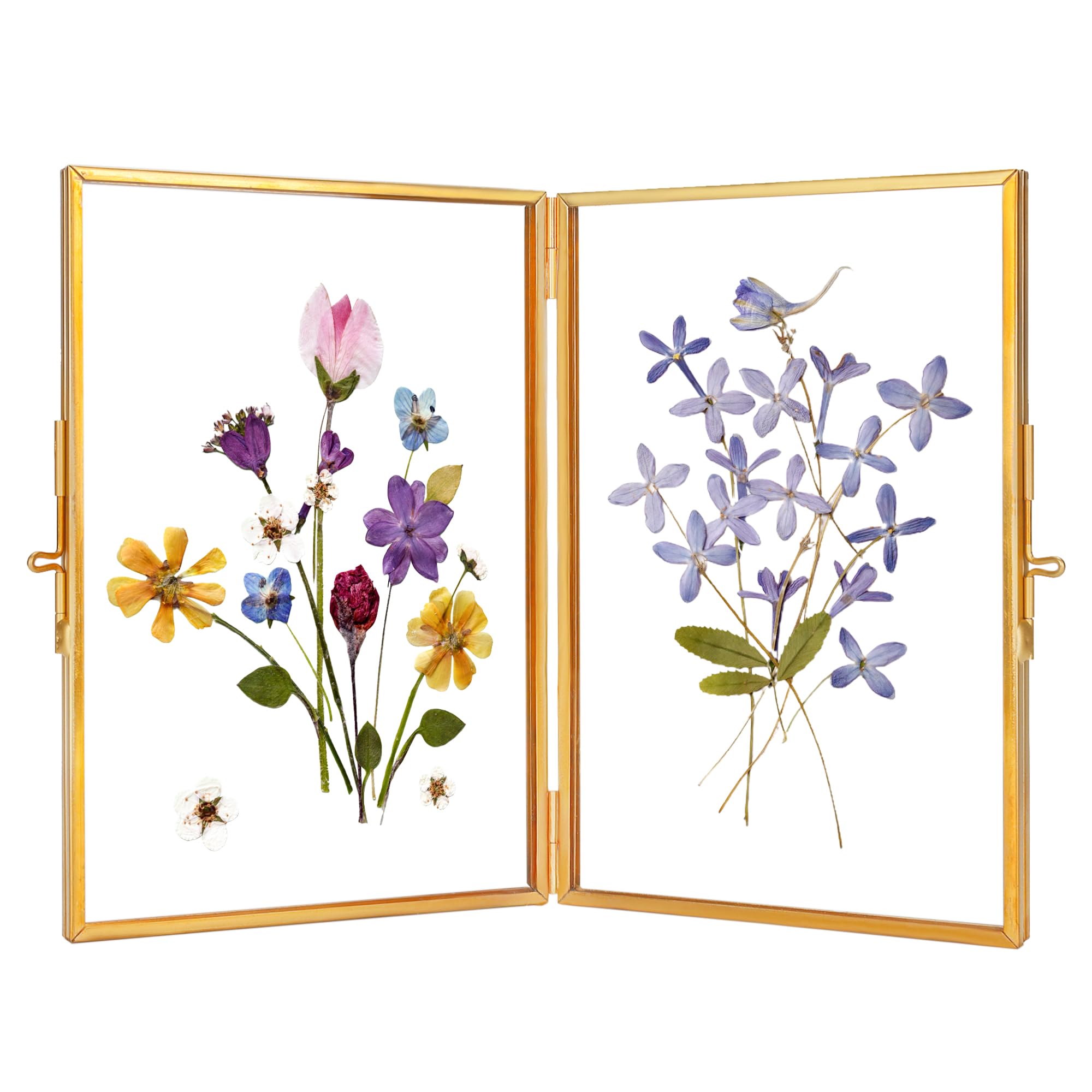 Photo 1 of REDHUGO Glass Pressed Flower Frame Handmade, Hinged Double Press Flower Frame, Tabletop Brass Photo Frames, Rectangle Dried Flowers Display Folding Frames for Home, Gold,4×6 Inches